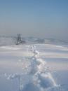vezzano madonna neve